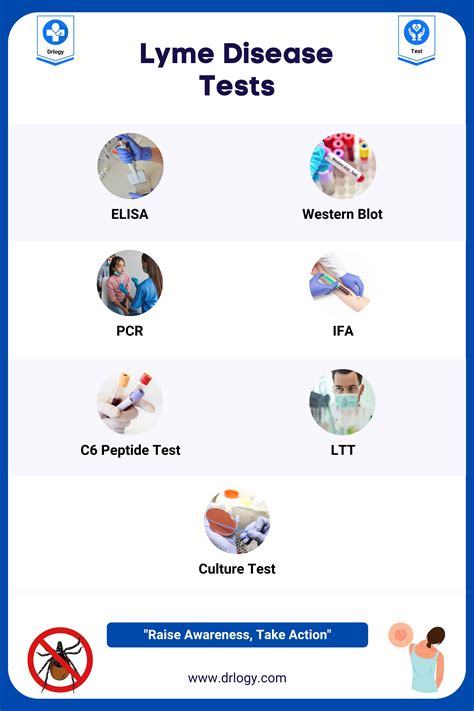 is lyme hard to test|lyme disease testing results.